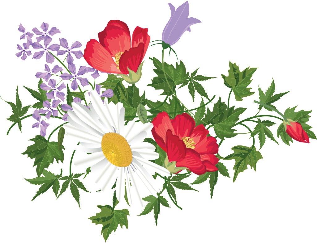 Những bông hoa cúc lớn bằng tay màu đỏ và trắng tinh tế và đẹp mắt