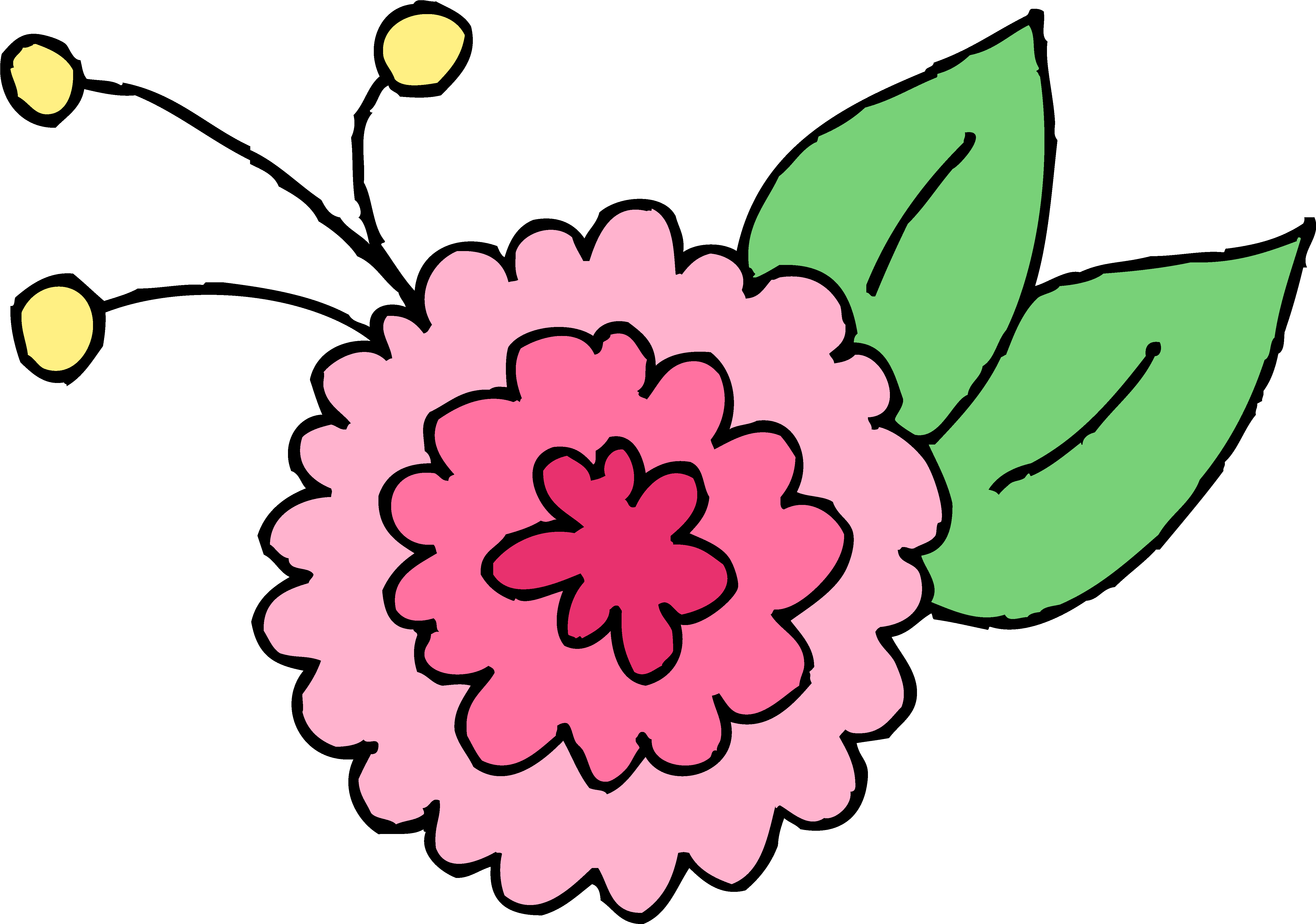 Clipart de chrysanthème, chrysanthème de dessin animé