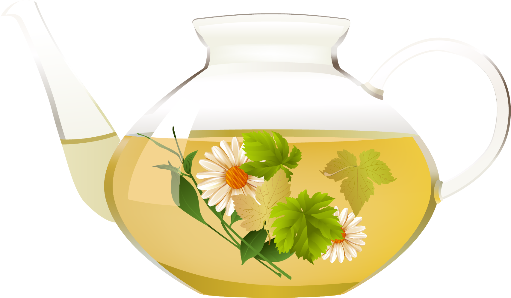 Clipart de thé de chrysanthème, théière transparente