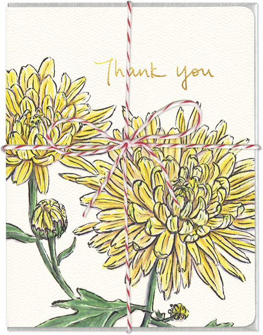 Carte de remerciement de chrysanthème, salutation
