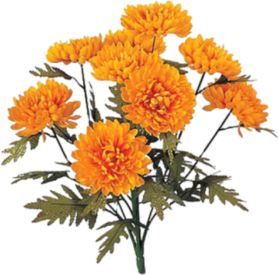 Calendula icona clipart, crisantemo