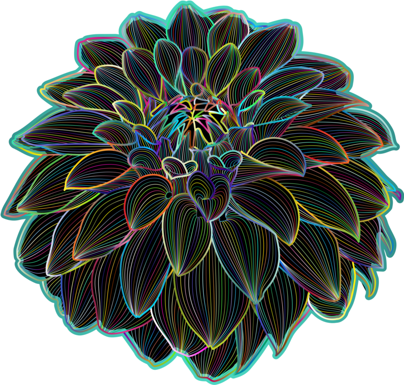 Clipart de chrysanthème noir