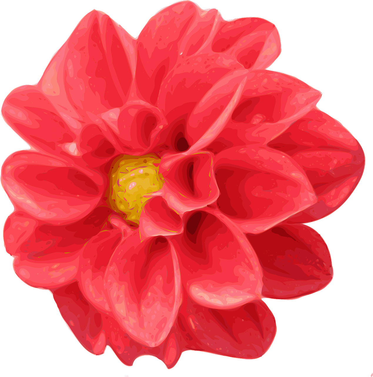 Chrysanthemen, Dahlien, rote Blumen