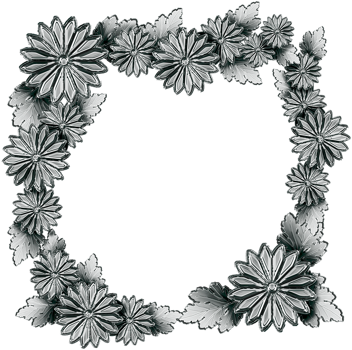 Khung hoa cúc trắng đen