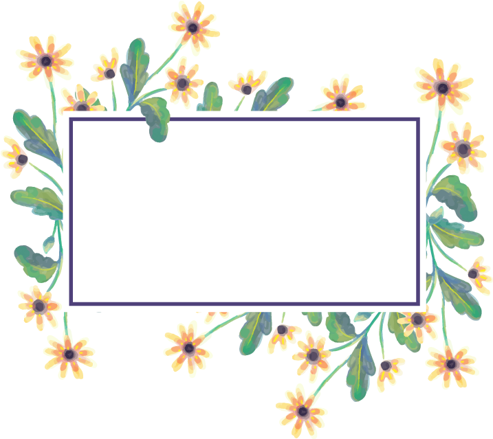 Cadre de chrysanthème, illustration de fleur de vecteur