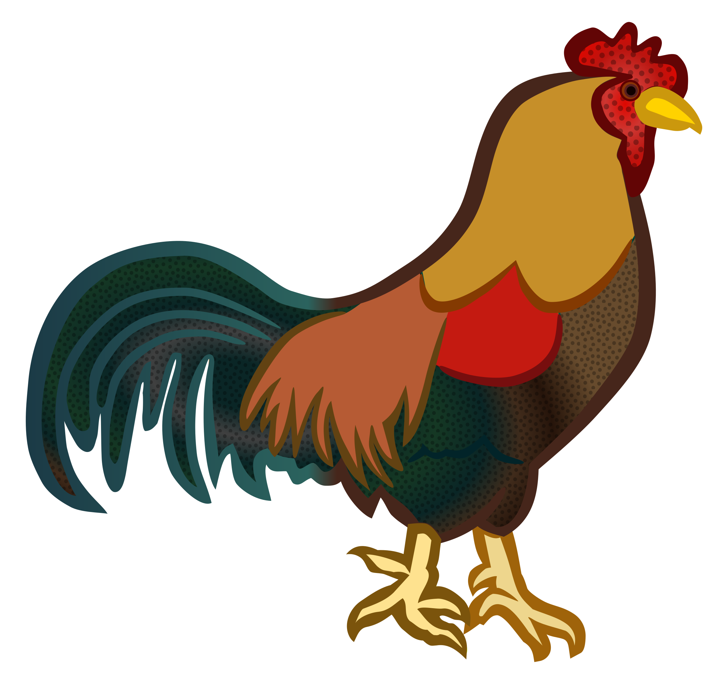 Ayam (ayam jantan)