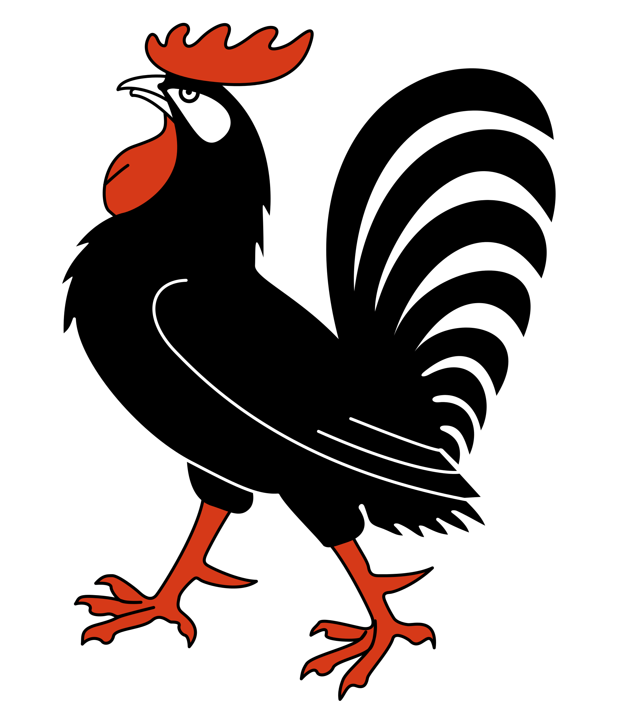 Ayam (ayam jantan)