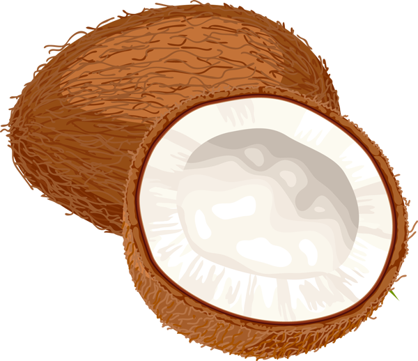 Noce di cocco
