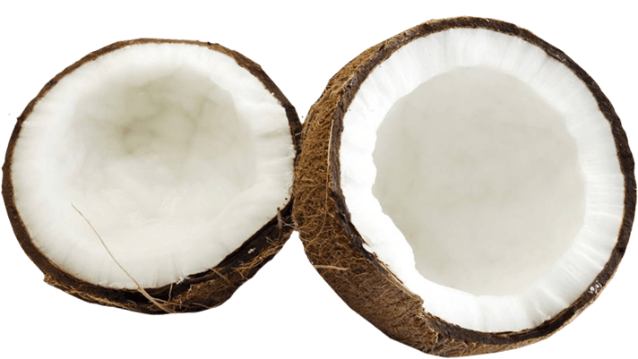 Kokosnuss