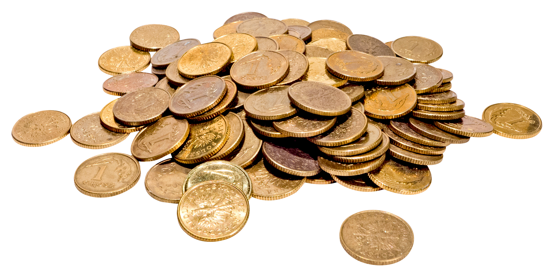 동전