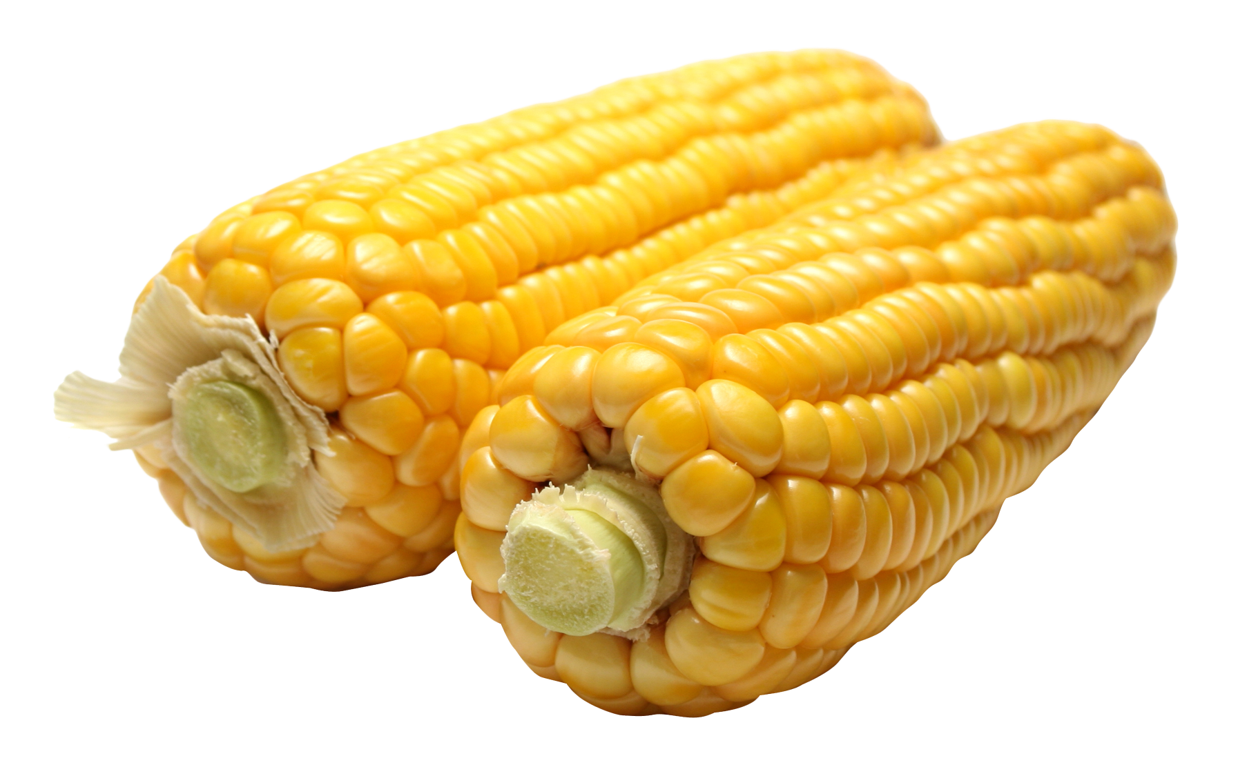 Kukurydza