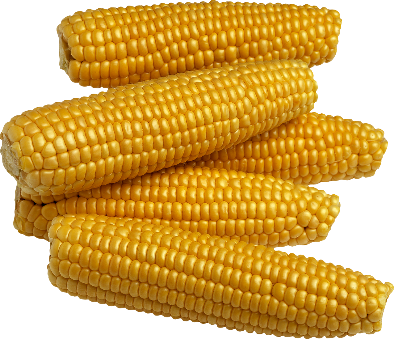 Żółta kukurydza
