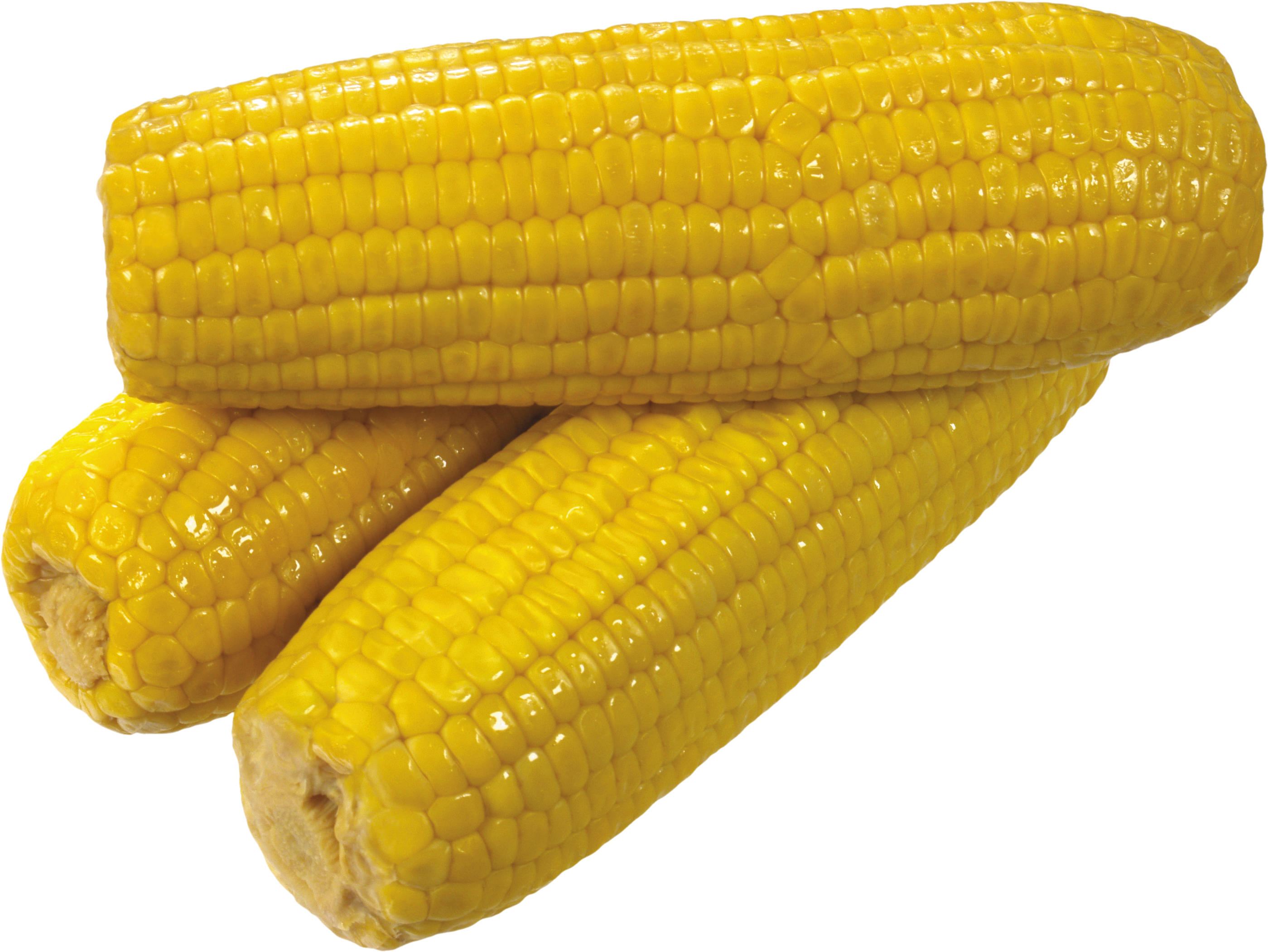 Du maïs jaune