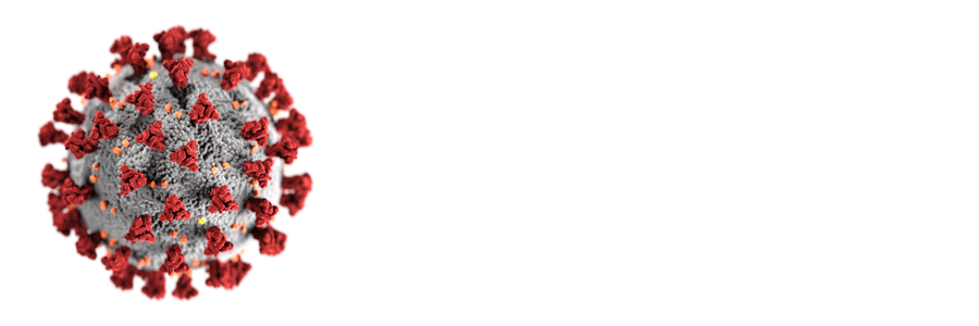 コロナウイルス、COVID-19