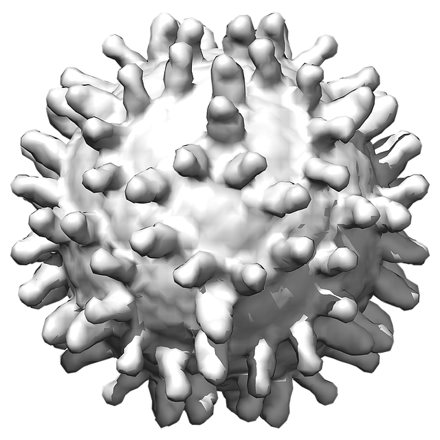 Koronavirüs