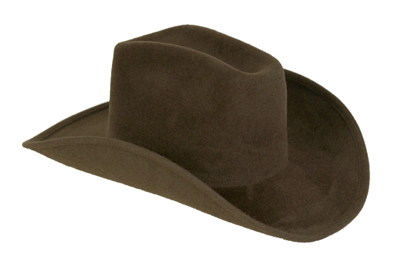 Kovboy şapkası