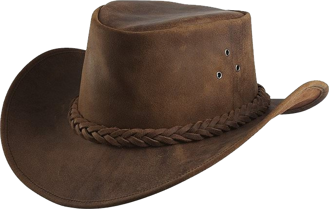 Kovboy şapkası