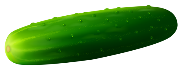 Concombre vert