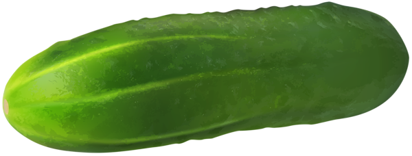 Gros concombre