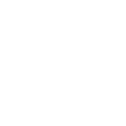字母 D