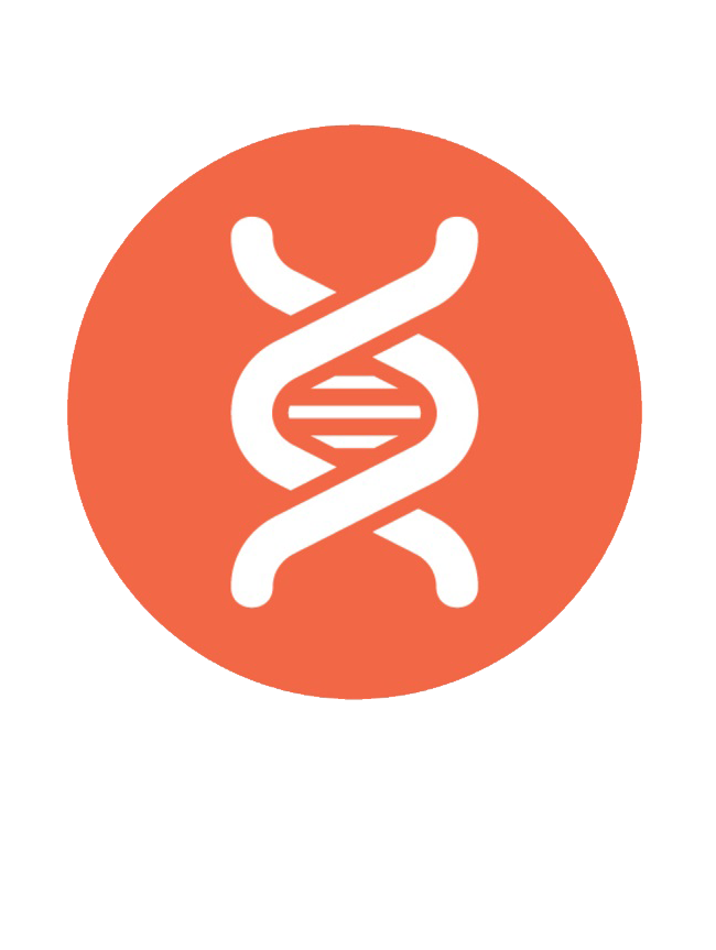 Ácido desoxirribonucléico, DNA
