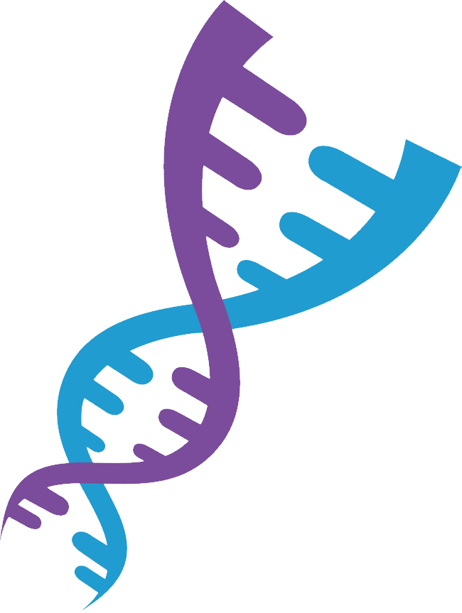 กรดดีออกซีไรโบนิวคลีอิก DNA