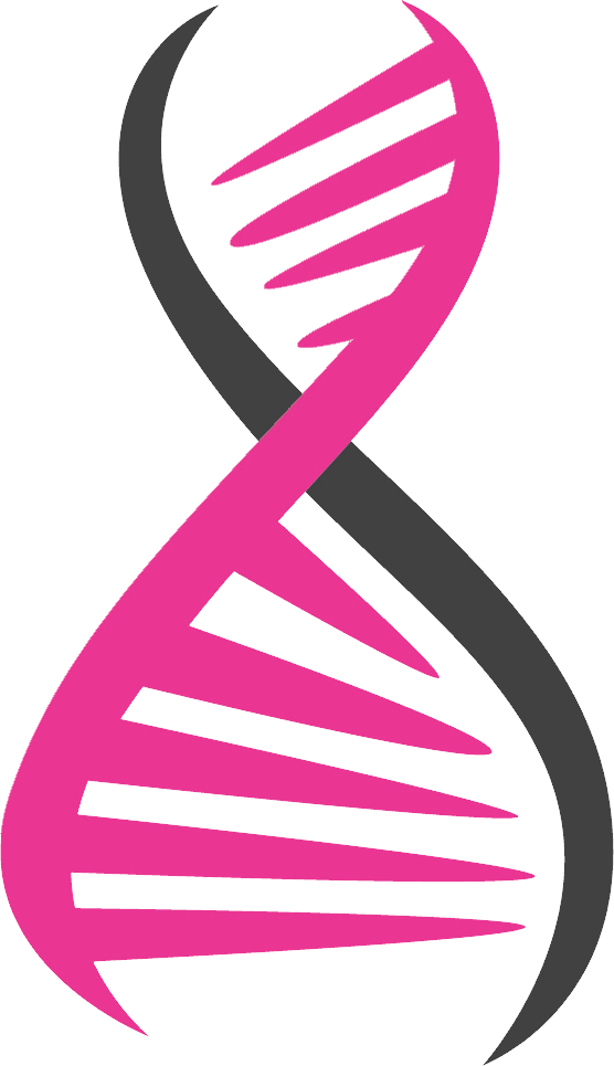 데옥시리보핵산, DNA
