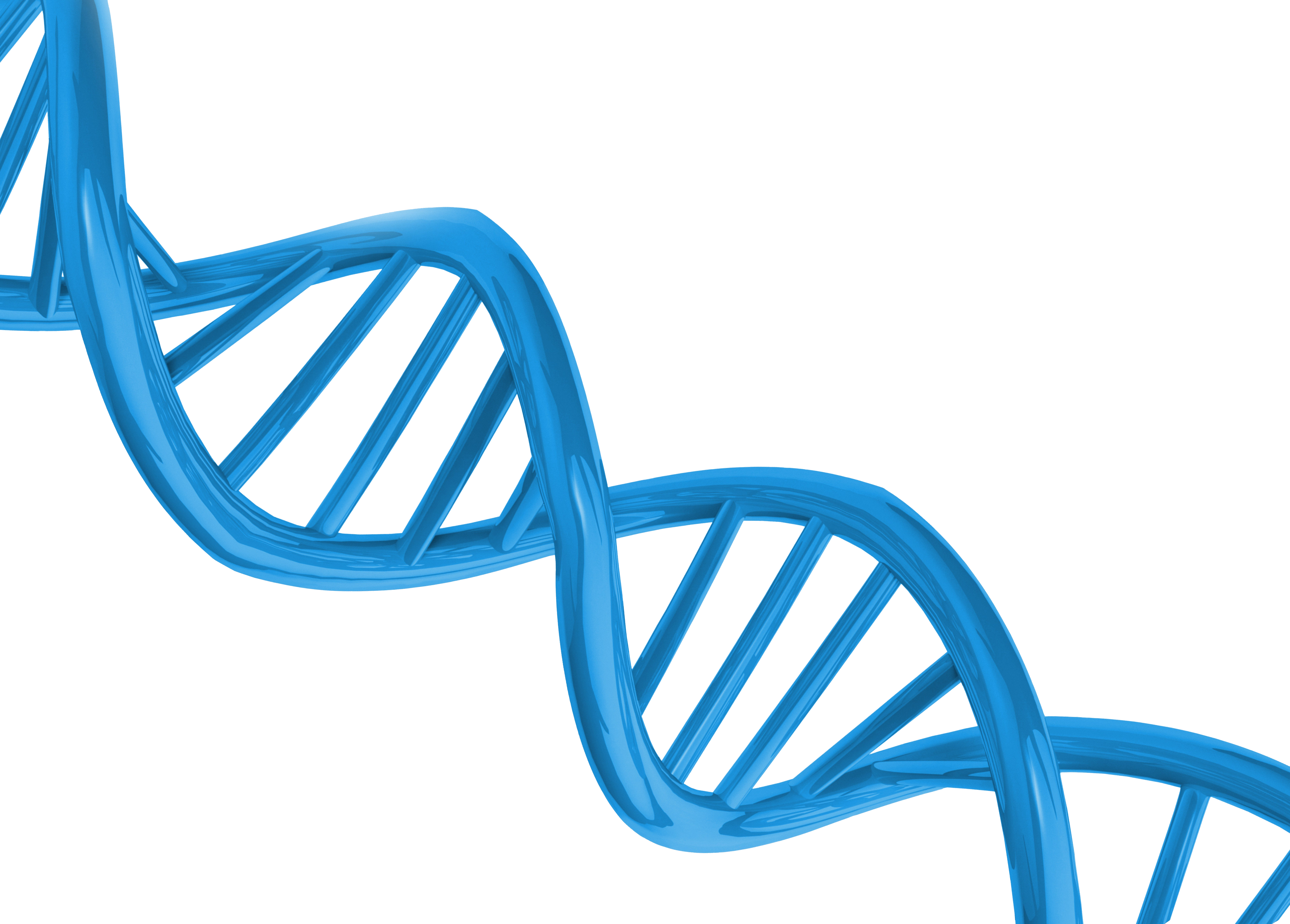 Desoxyribonukleinsäure, DNA
