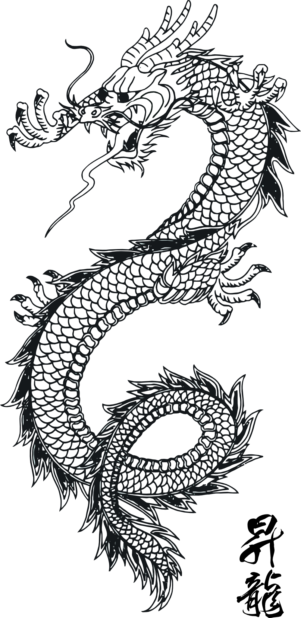 Tatuagem de dragão negro