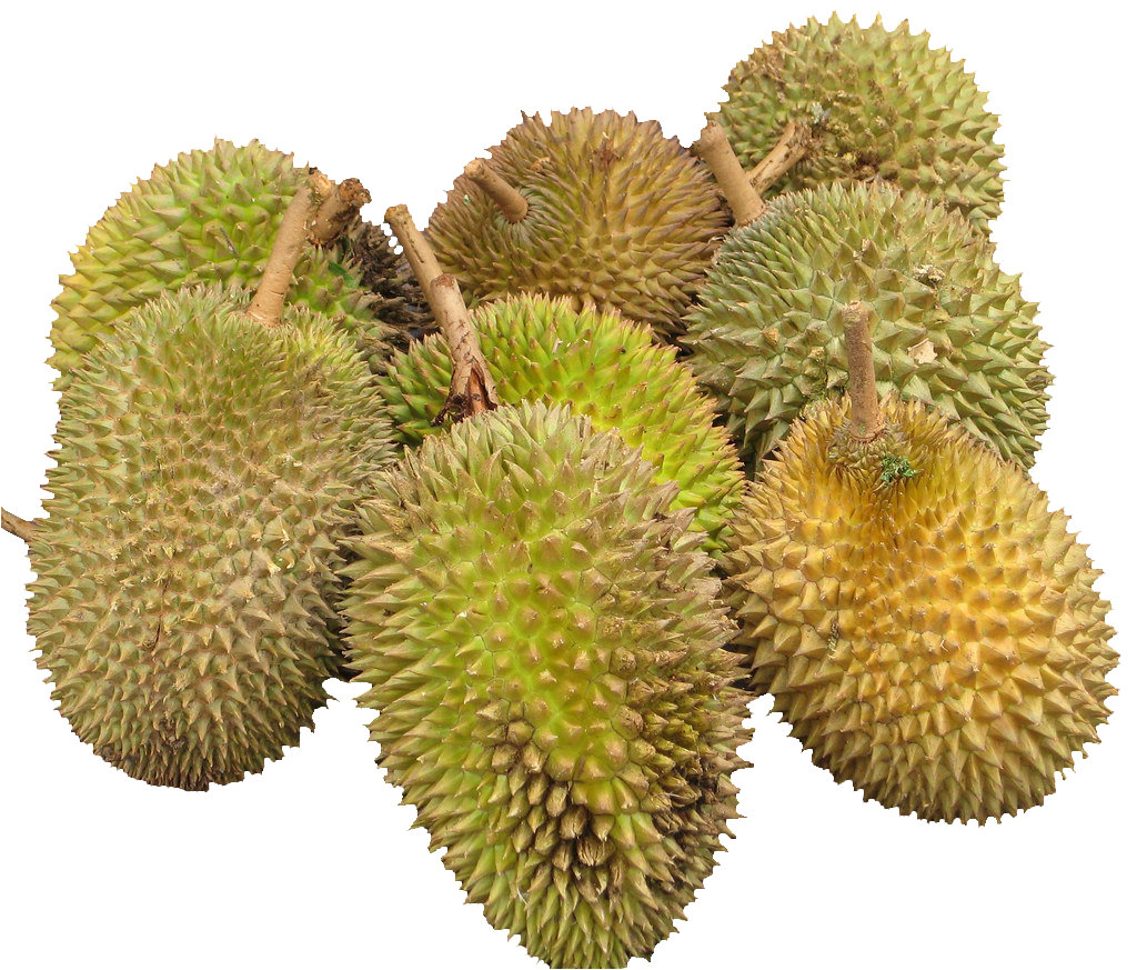 Kilka durianów
