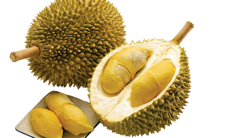 Geschälte Durian