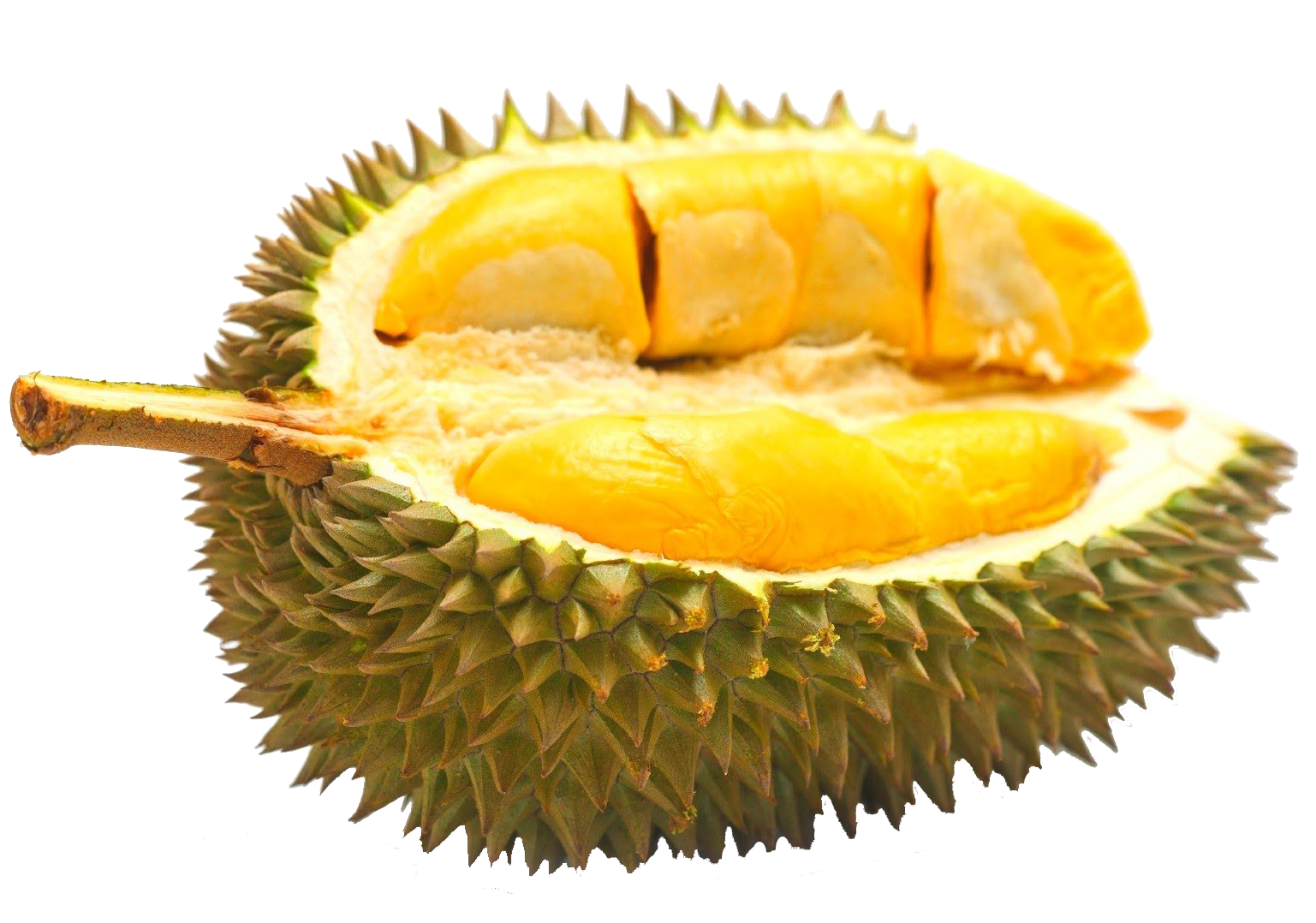 Geschälte Durian