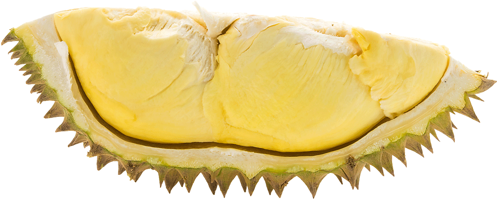 Ein Stück Durian
