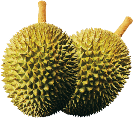 Un durian