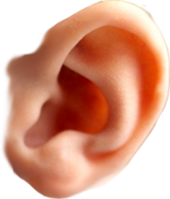 कान