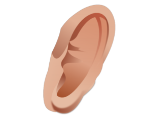 Ucho