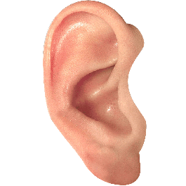 귀