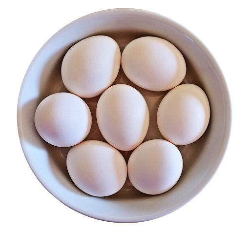 Bir kasede yumurta