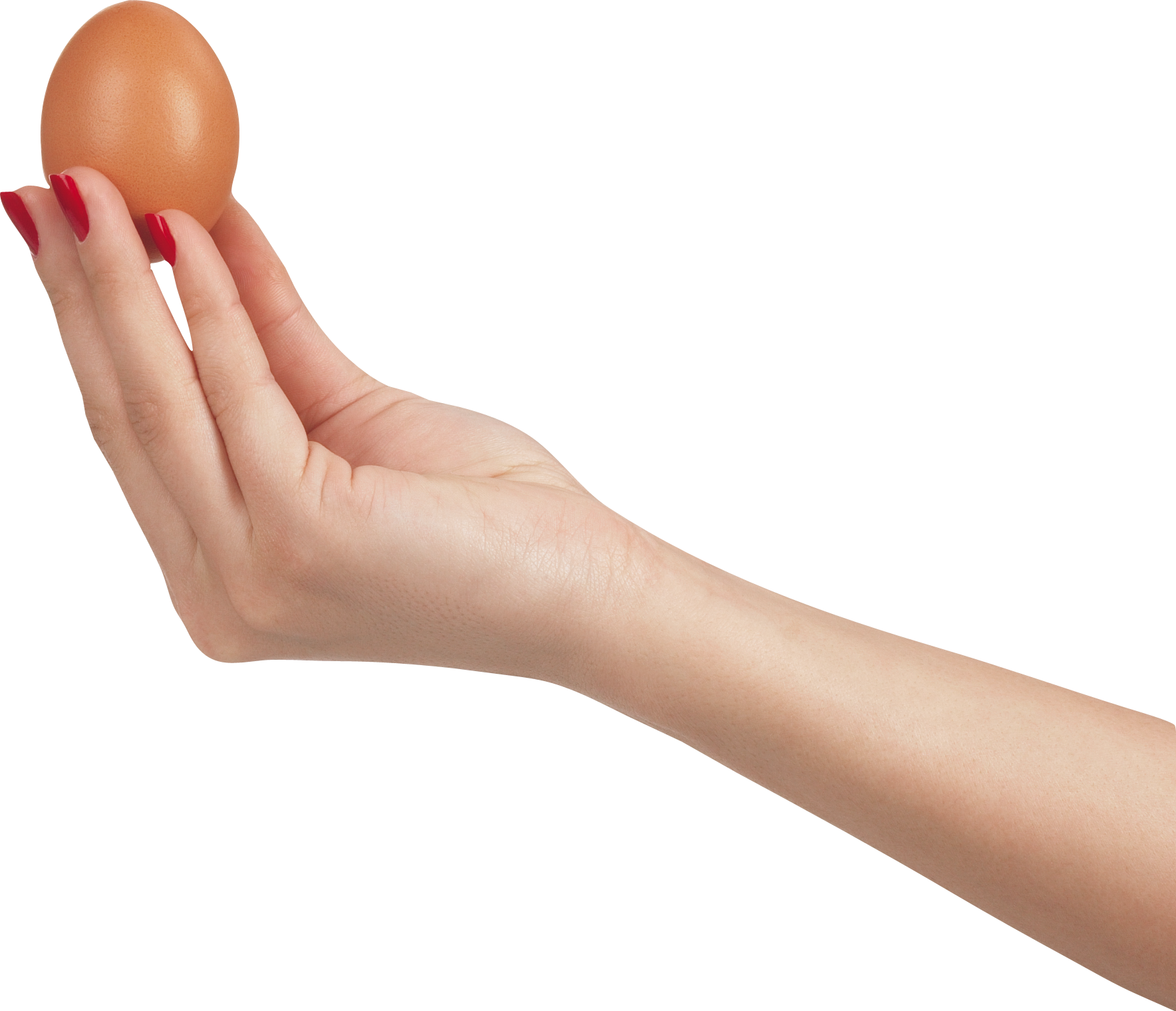 Trứng trong tay