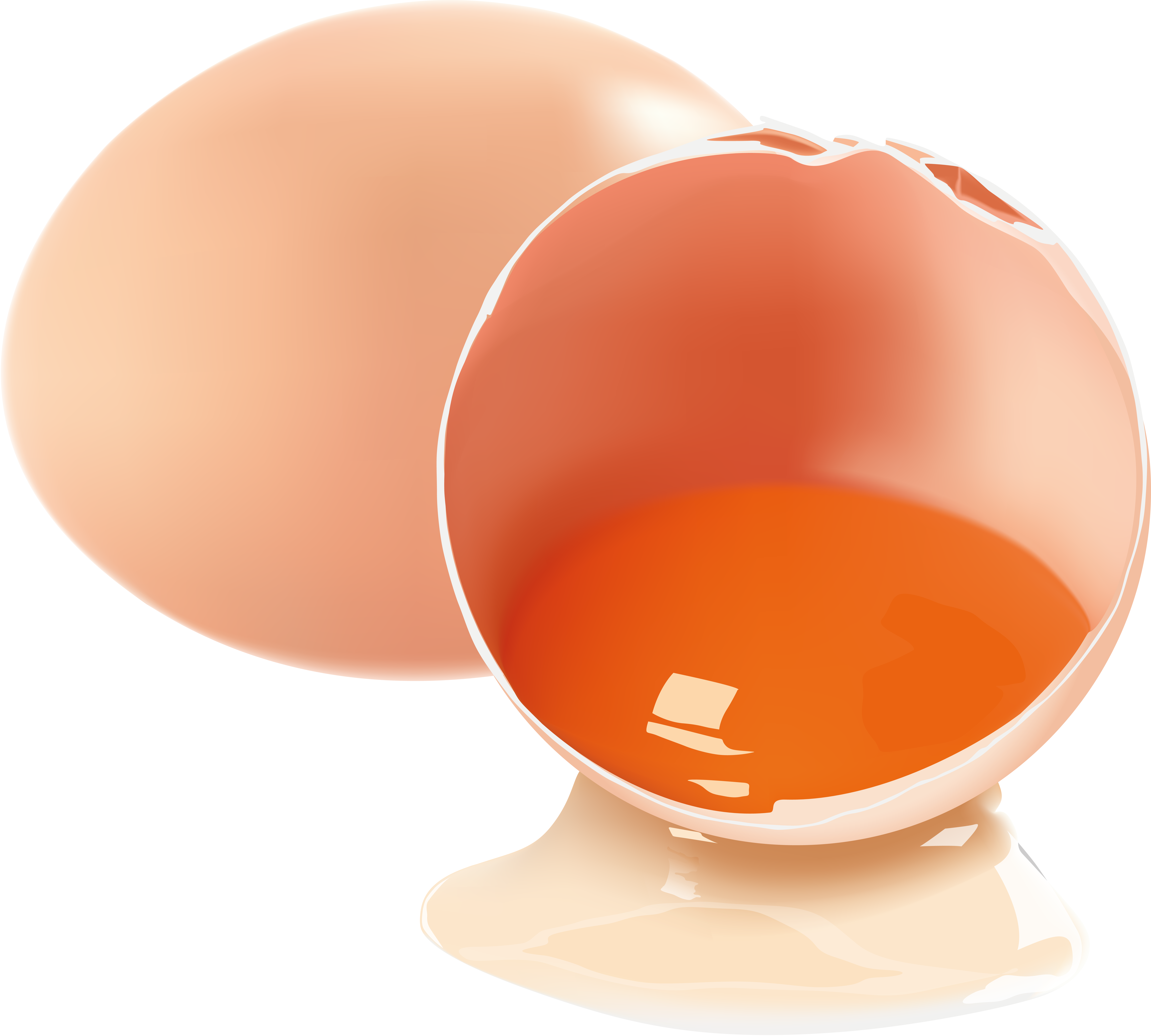 Uovo rotto