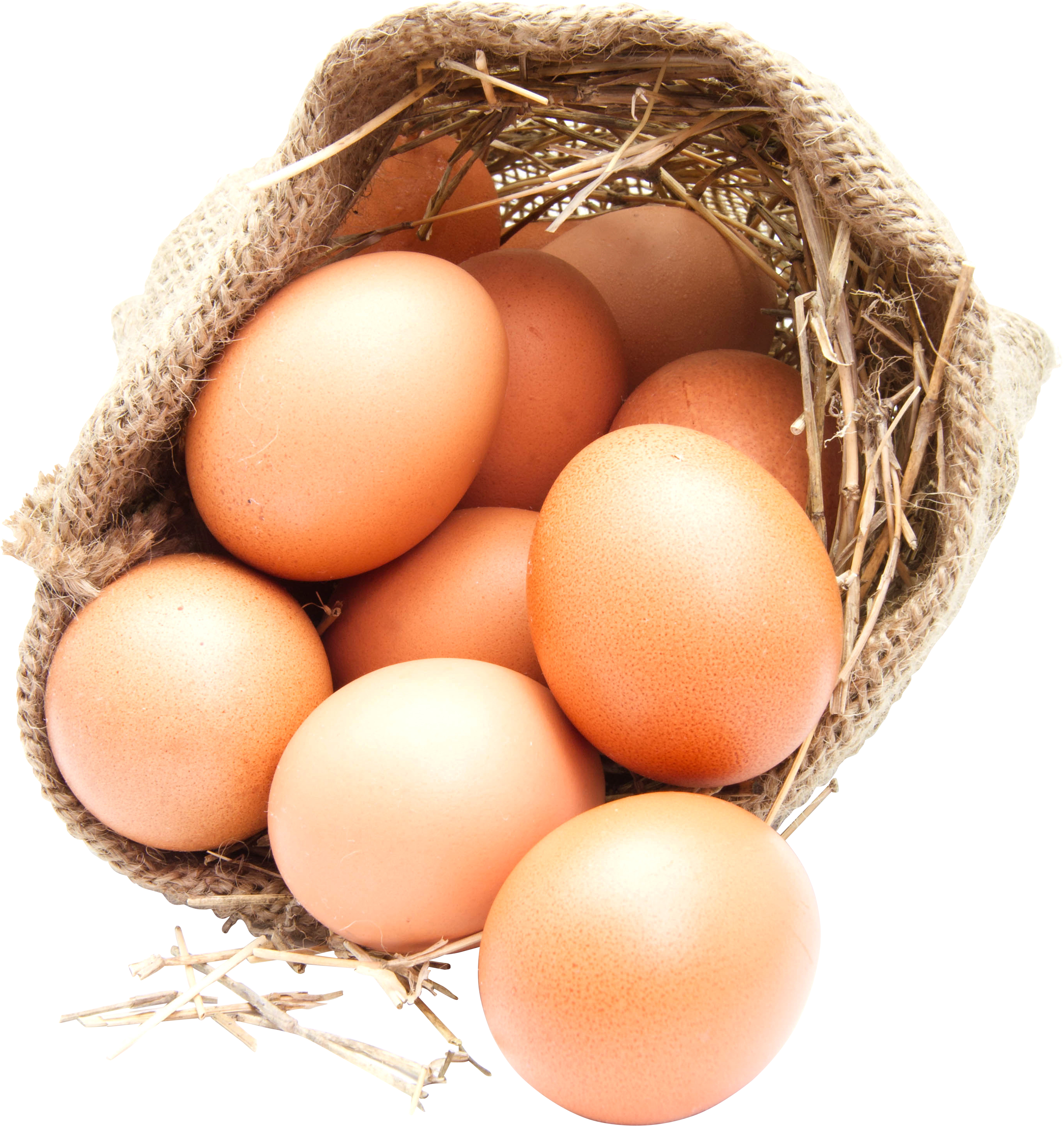 Um saco de ovos