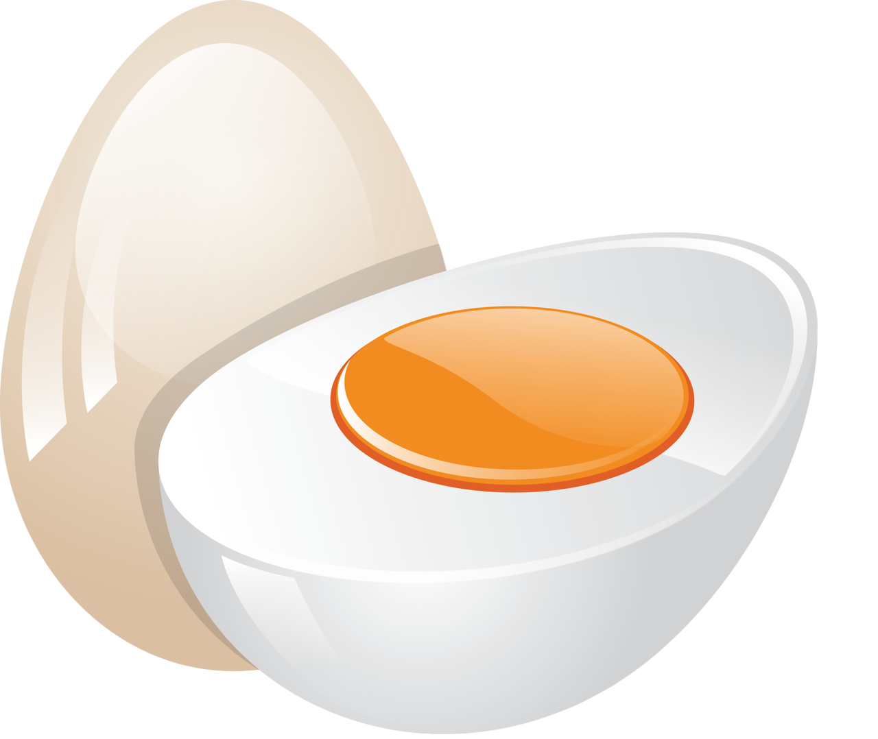 Yumurtanın yarısı