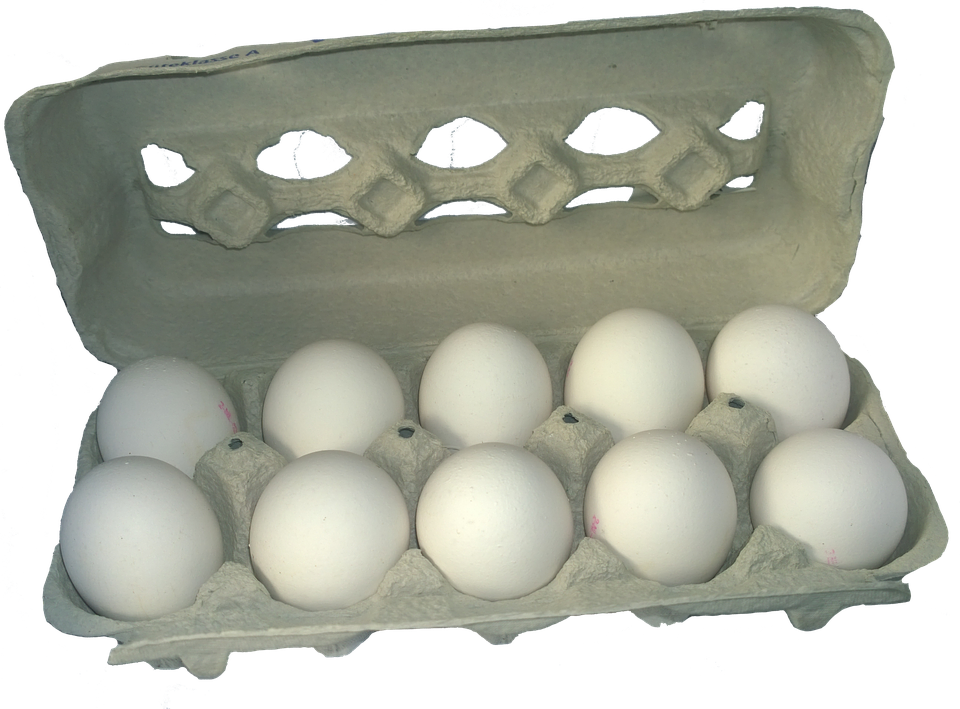 卵のカートン