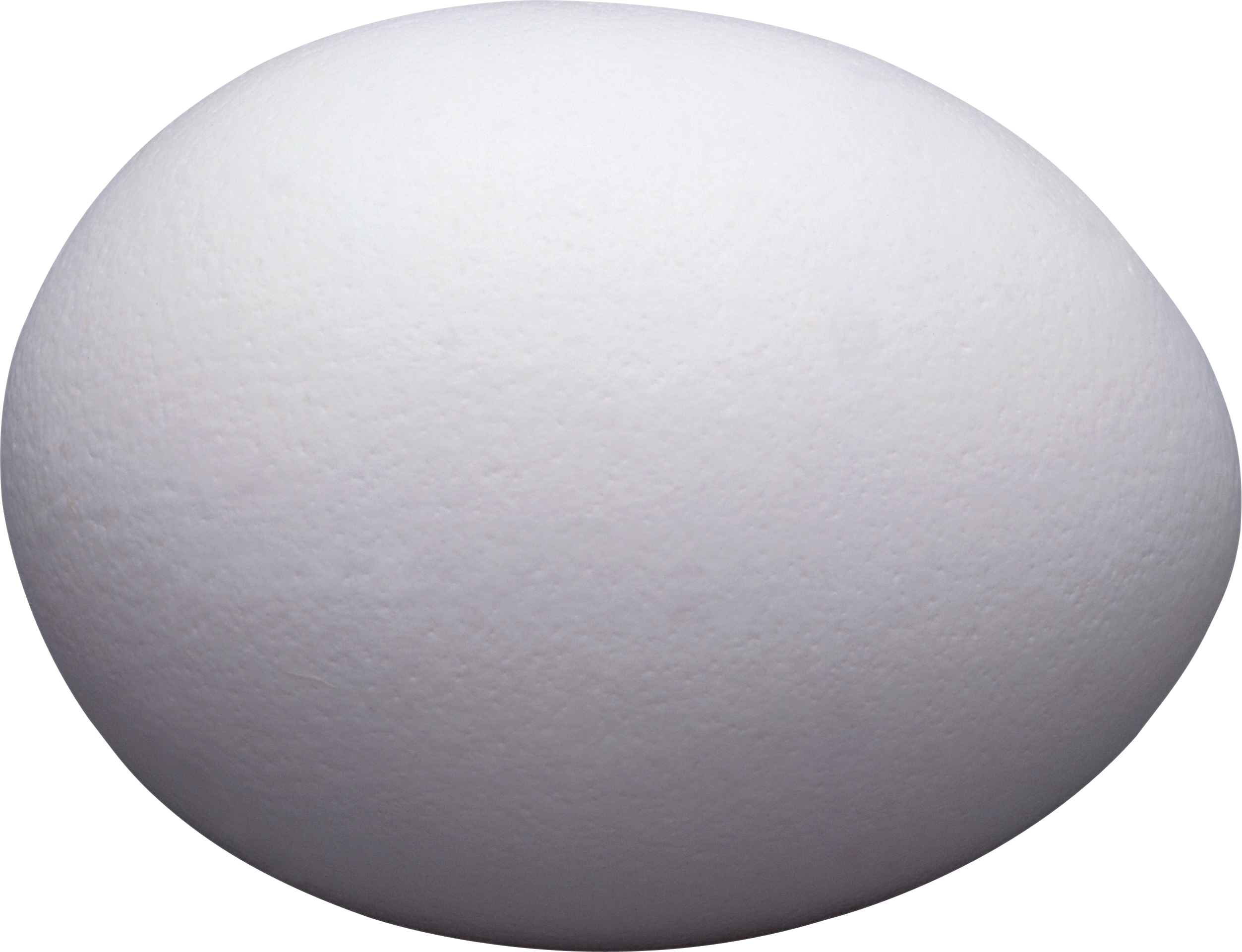 흰 계란