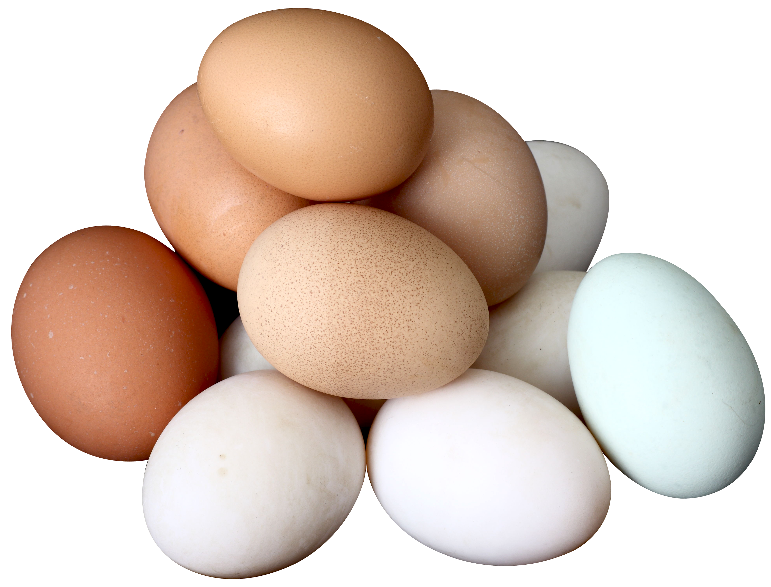 Um monte de ovos