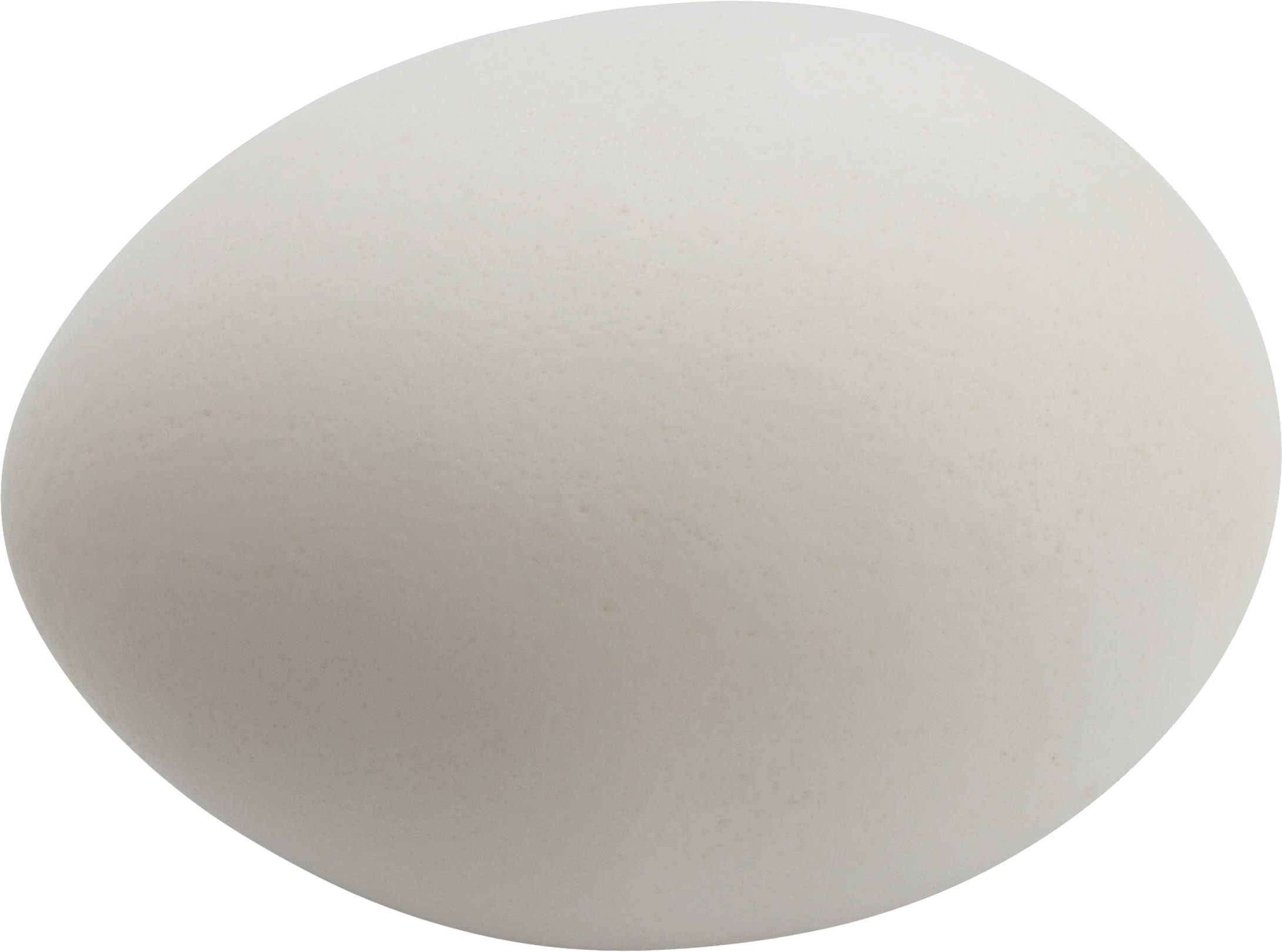 Uovo bianco