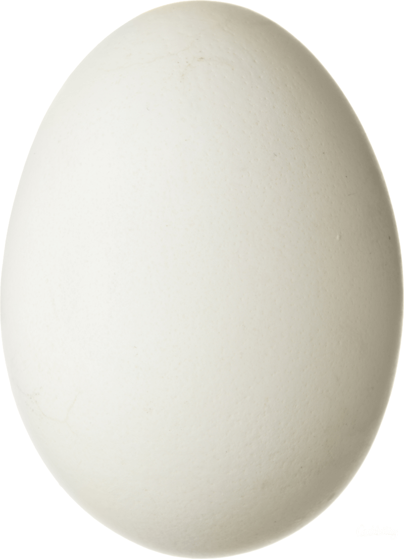 सफेद अंडा