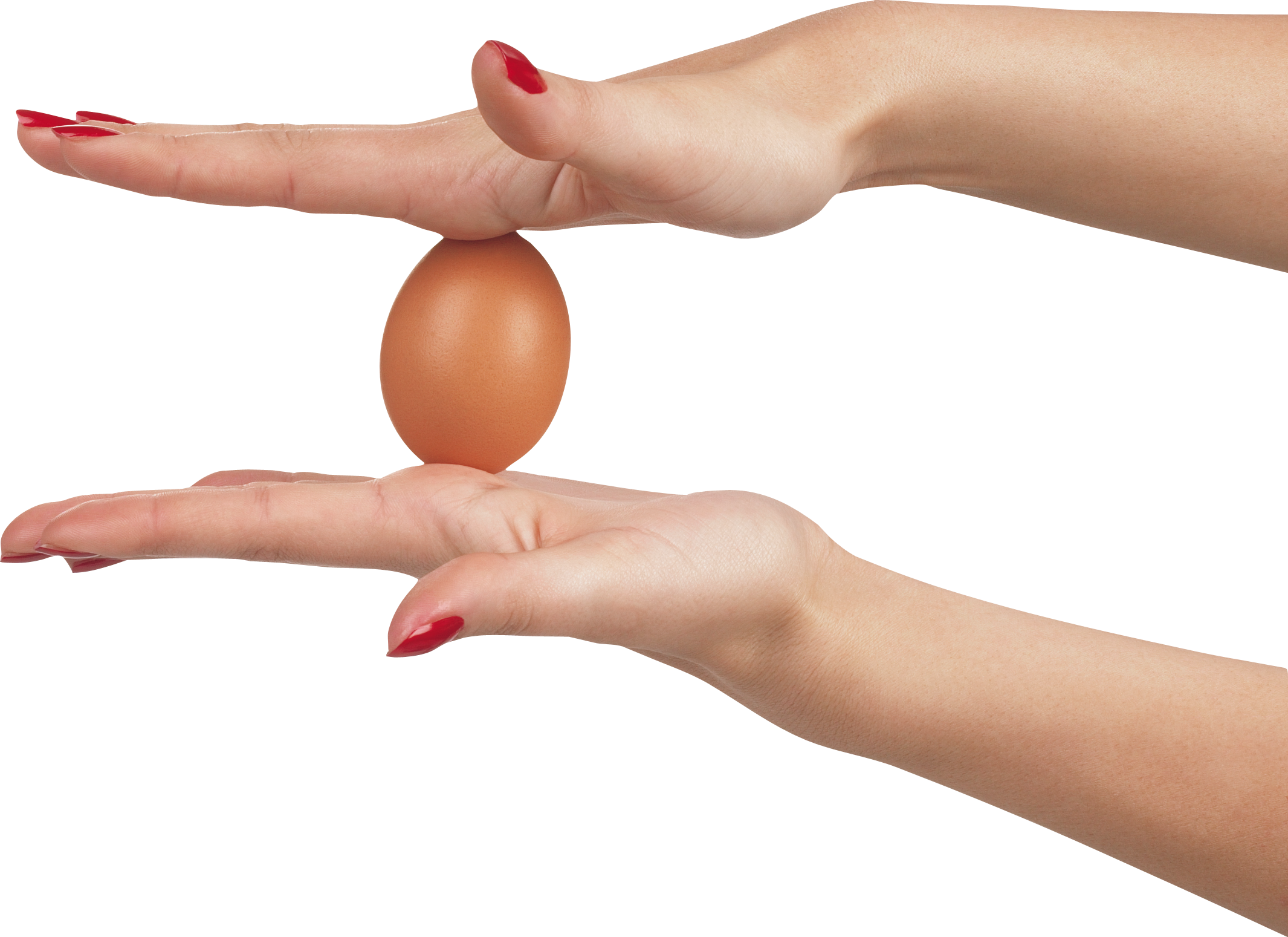 手の間の卵