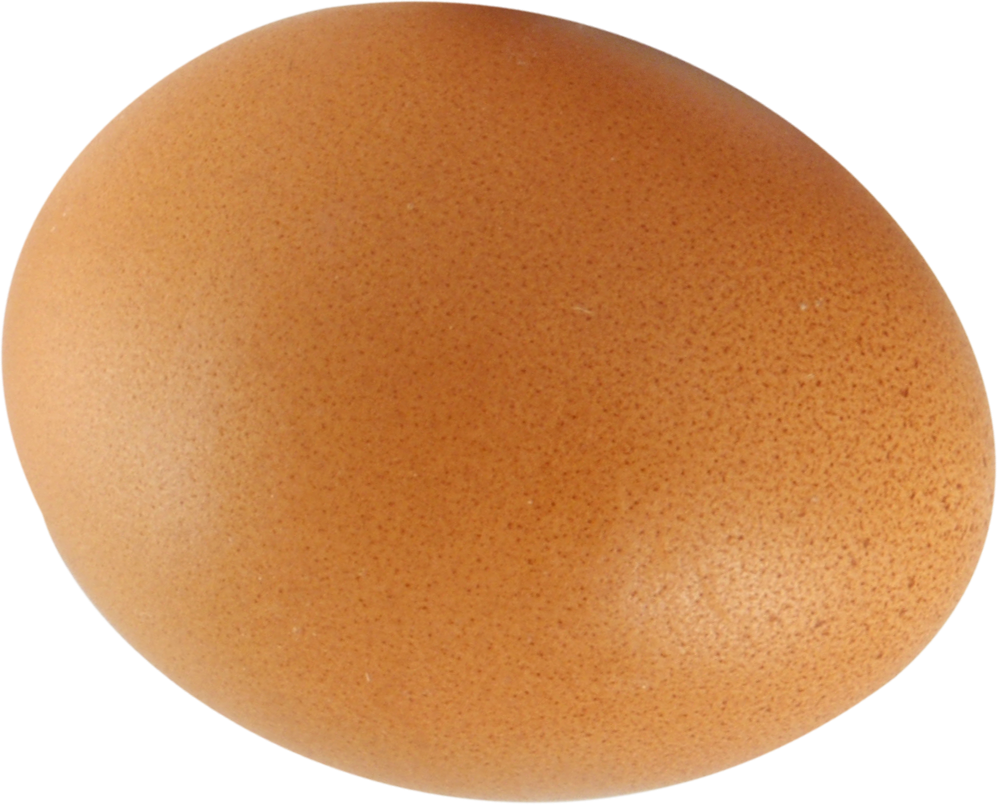 Yumurta