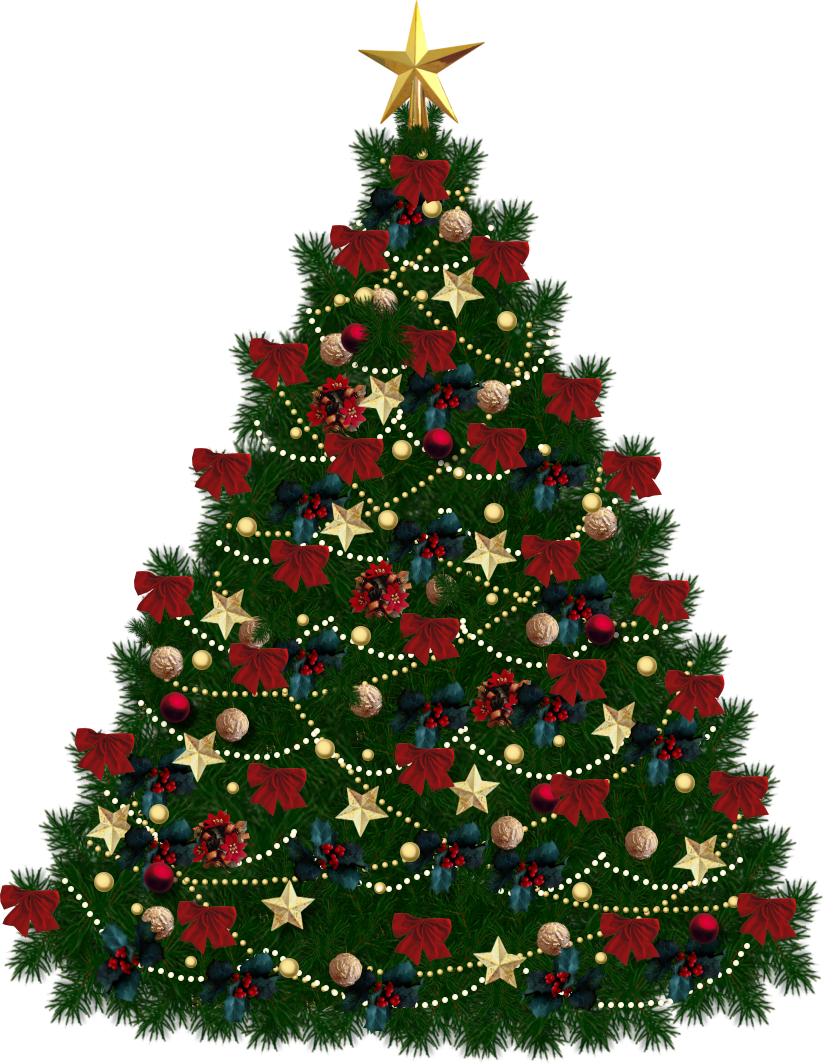 क्रिसमस देवदार का पेड़